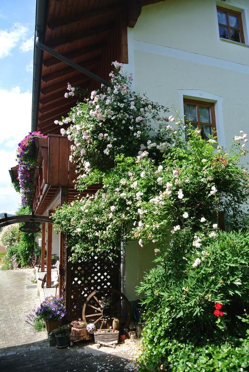 Haus Am Waldrand - Ferienwohnung Augustin Grafenau  Eksteriør bilde